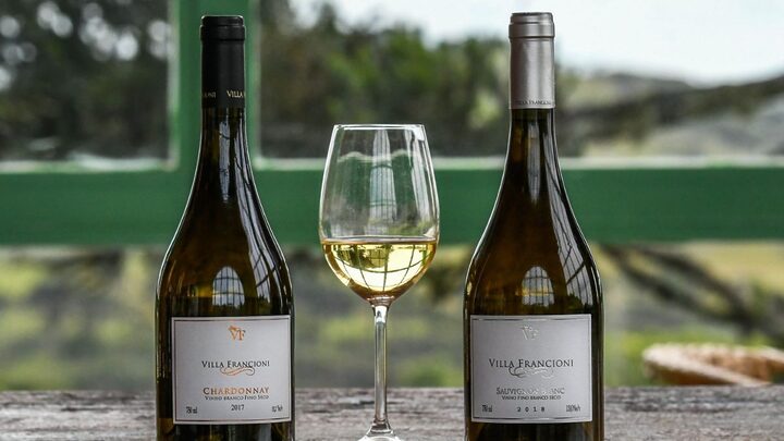 Vinhos de altitude são consagrados em evento internacional.