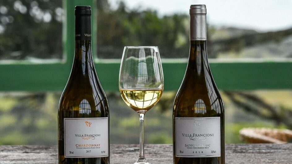 Vinhos de altitude são consagrados em evento internacional.