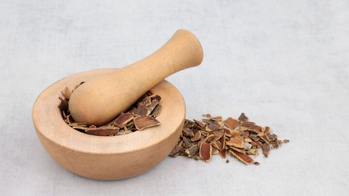 A cáscara sagrada tem sido valorizada por séculos, especialmente pelas suas propriedades relacionadas ao sistema digestivo (Imagem: marilyn barbone | Shutterstock)