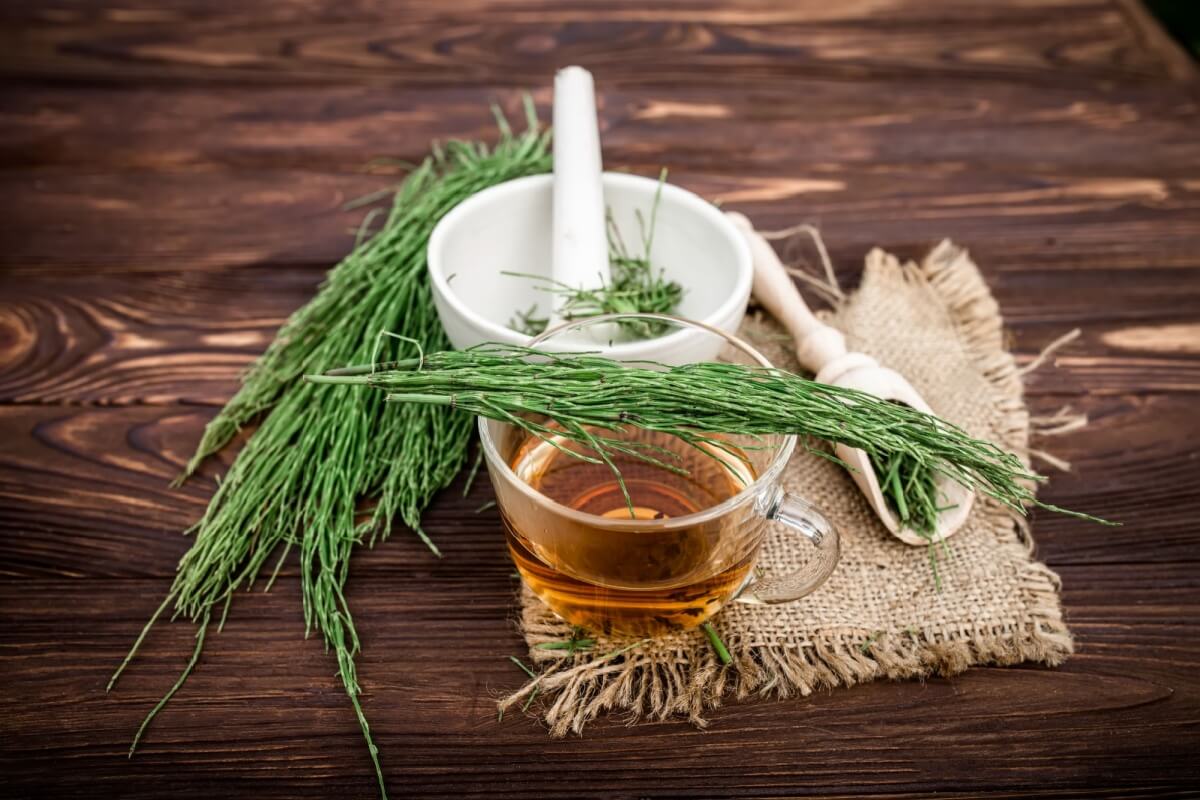 Chá de cavalinha com limão (Imagem: Lipatova Maryna | Shutterstock)