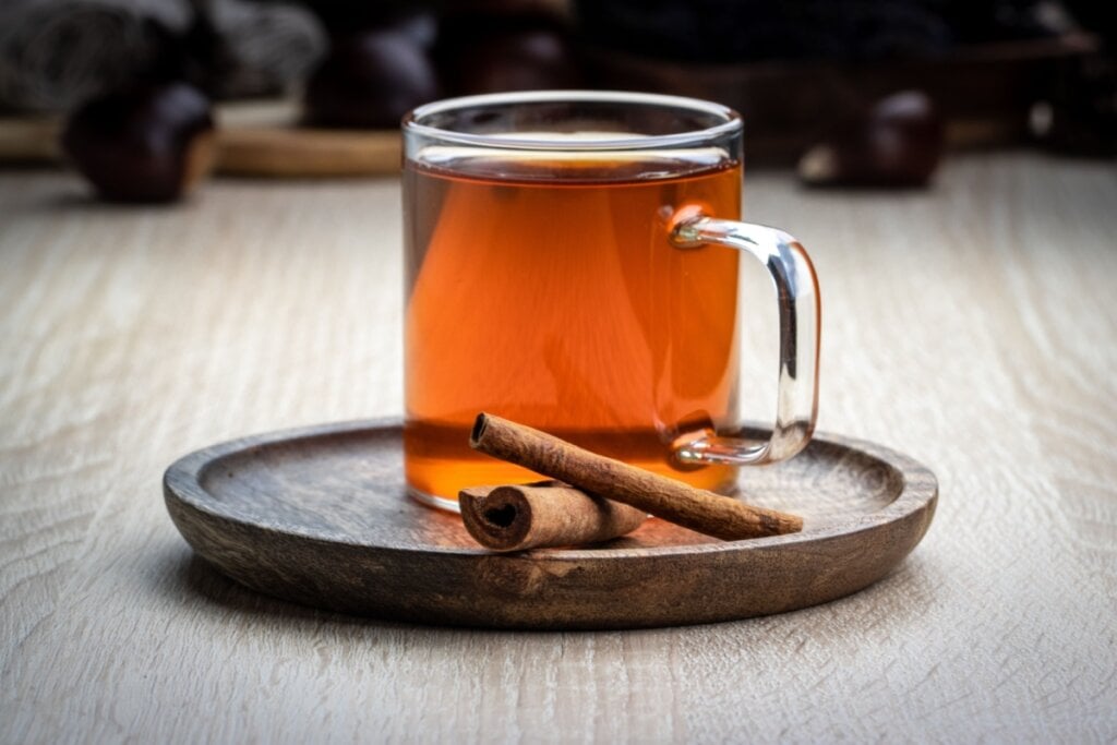 Chá de espinheira-santa com canela (Imagem: Ida Akerblom | Shutterstock)
