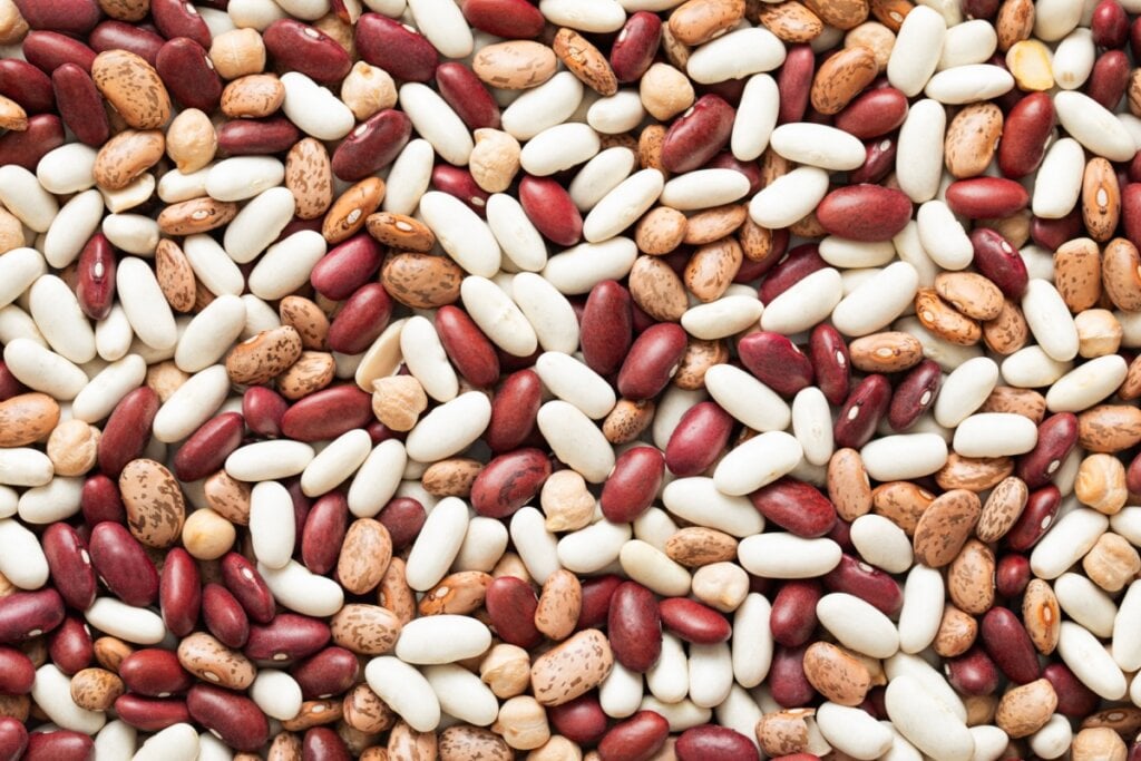 O feijão é versátil e rico em nutrientes (Imagem: DenisMArt | Shutterstock)