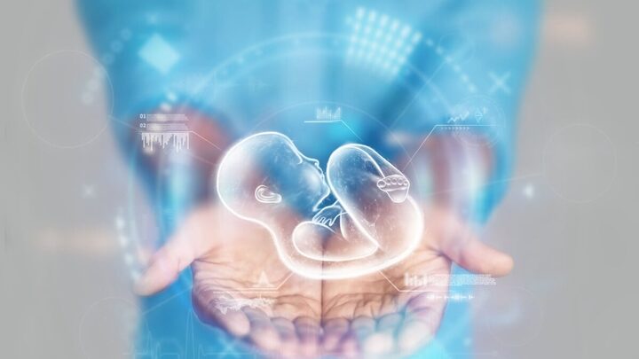 A fertilização in vitro é uma solução eficaz para muitos casos de infertilidade (Imagem: Marko Aliaksandr | Shutterstock)