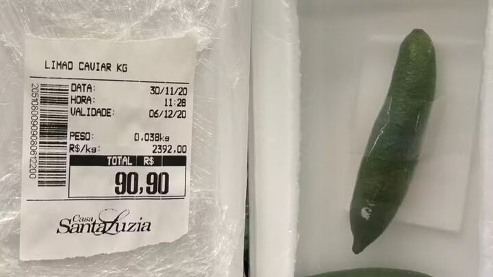 Fruta exótica produzida em SC pode chegar a R$ 2 mil o quilo