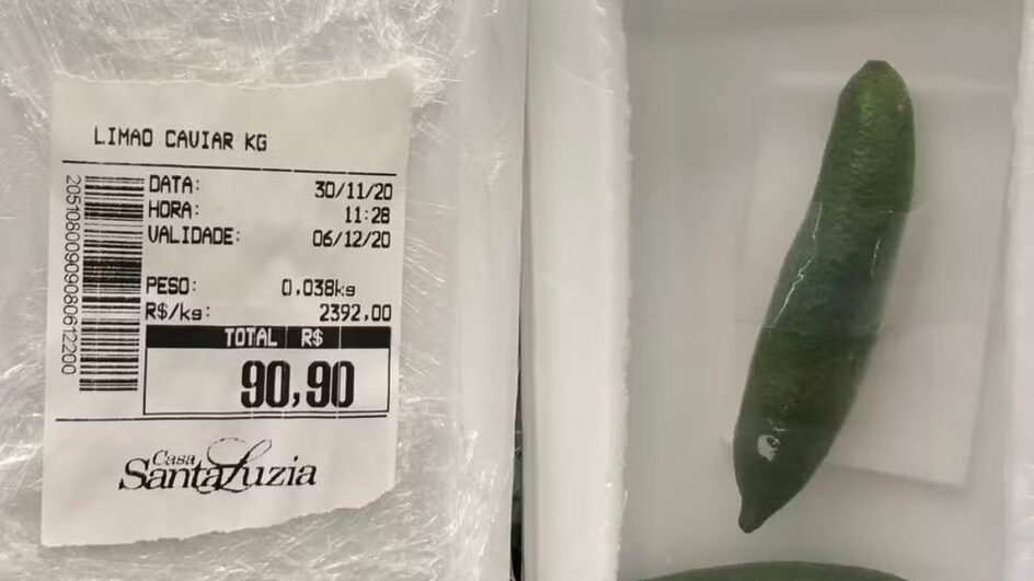 Fruta exótica produzida em SC pode chegar a R$ 2 mil o quilo