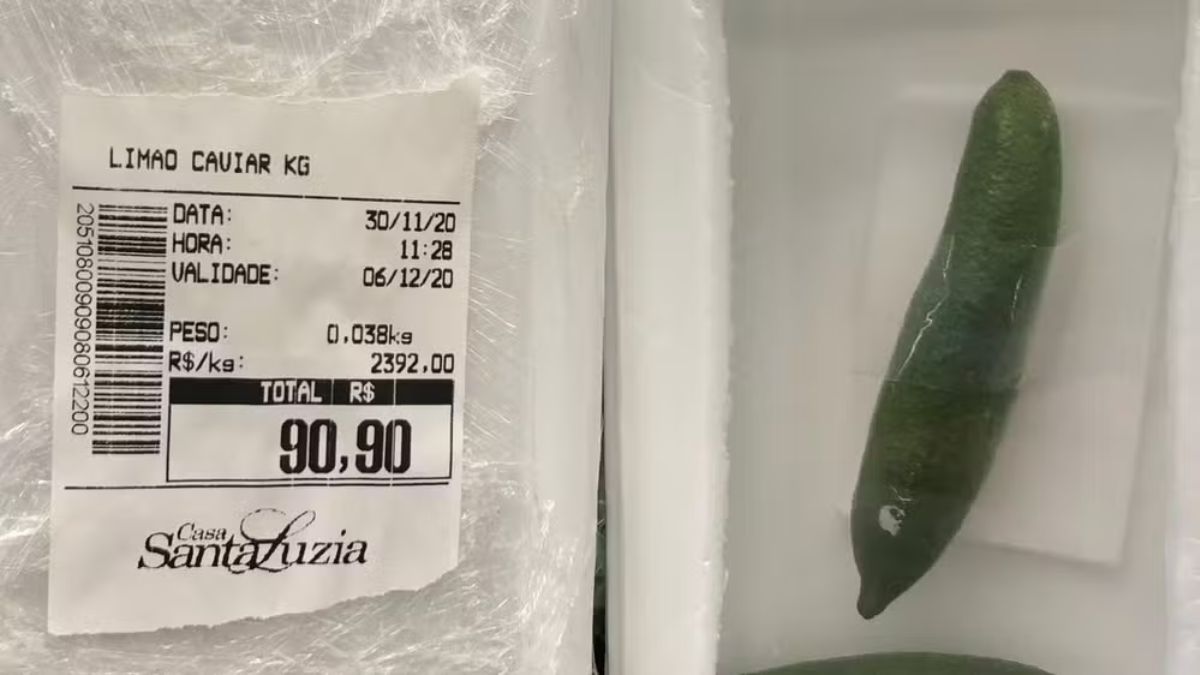 Fruta exótica produzida em SC pode chegar a R$ 2 mil o quilo
