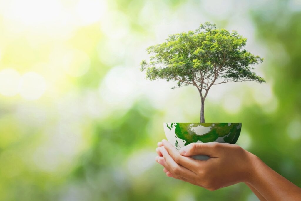 A vegetação pode ajudar a conter enchentes e alagamentos (Imagem: lovelyday12 | Shutterstock)