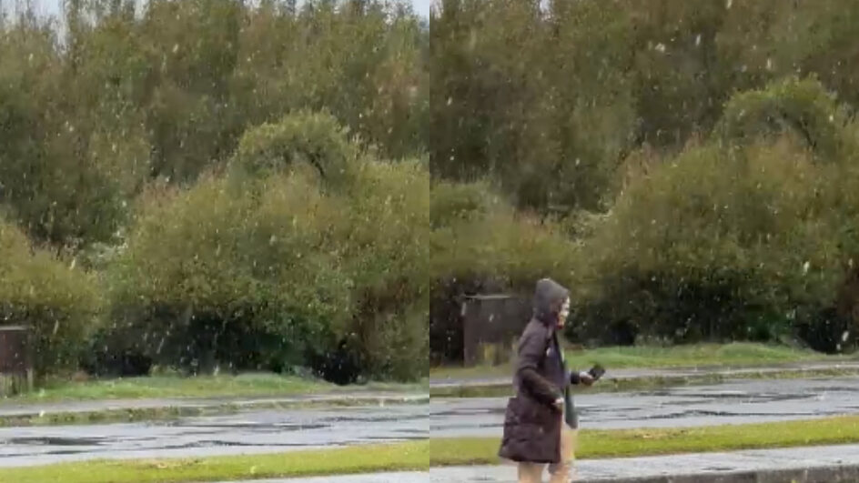 neve em SC