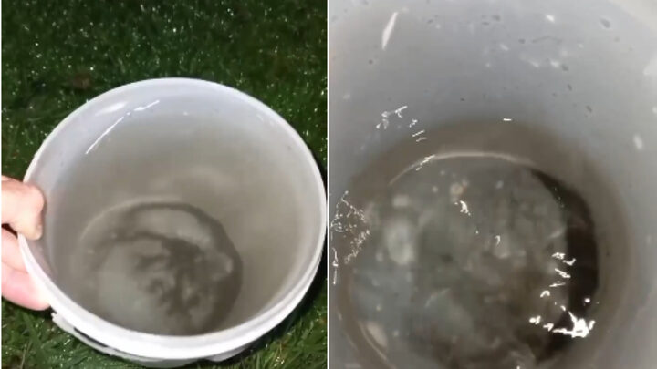 Chuva preta em Bom Jardim da Serra