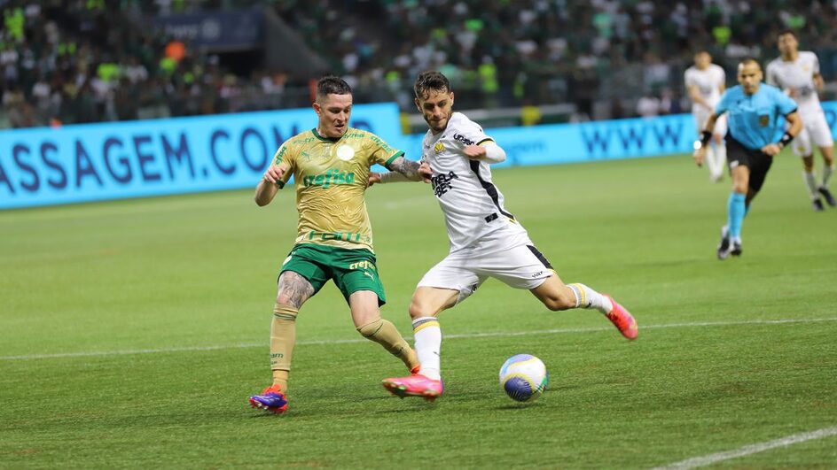 Criciúma perde para o Palmeiras (Foto: Celso da Luz, Criciúma)