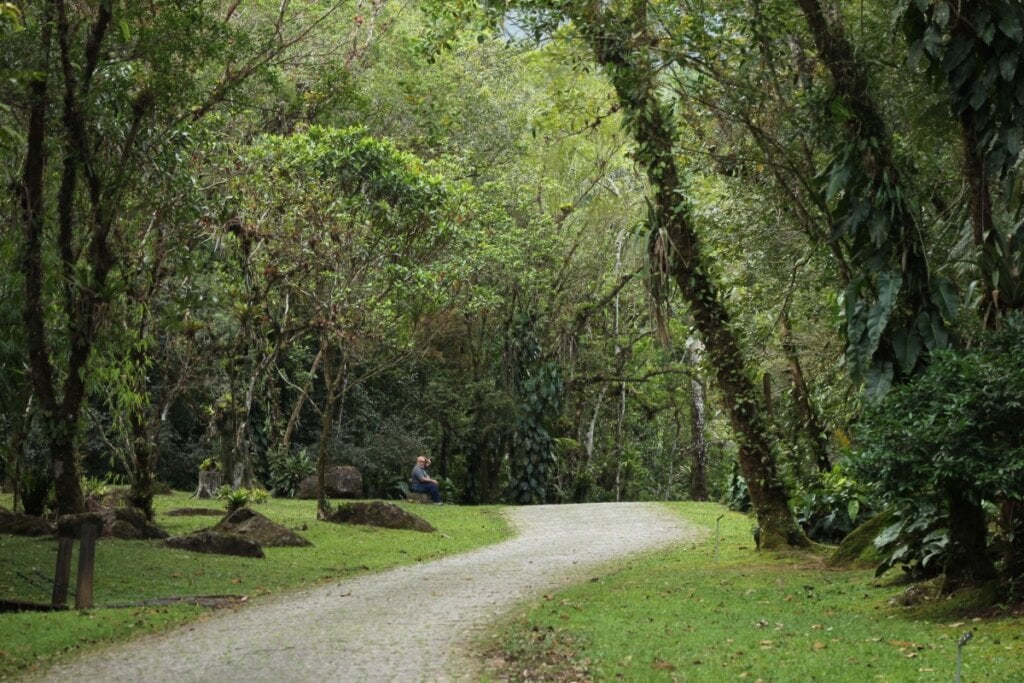 O “Ekoa Park” é um espaço de educação ambiental que combina trilhas artísticas e atividades diversas (Imagem: Bess Hamud | Shutterstock)