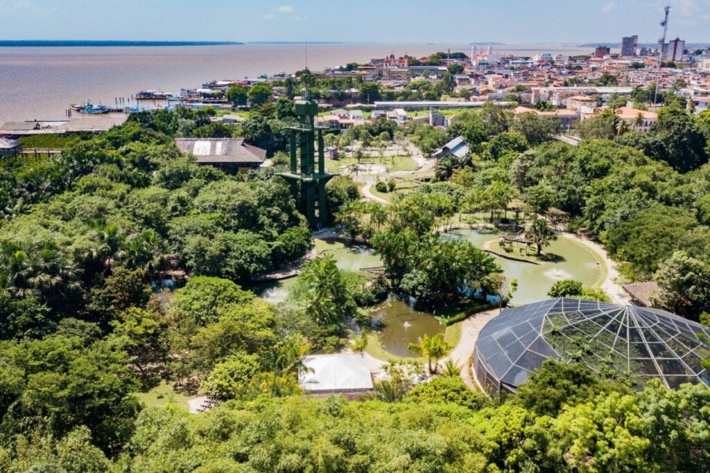 No parque Mangal das Garças, é possível interagir bem de perto com as garças (Imagem: Viagens e Caminhos | Shutterstock)