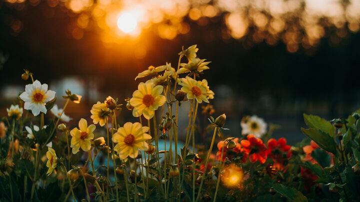 Mensagens de primavera