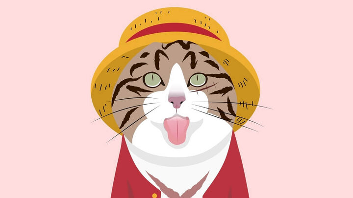 A série de anime One Piece oferece uma variedade de nomes criativos para os felinos (Imagem: Qkoq | Shutterstock)