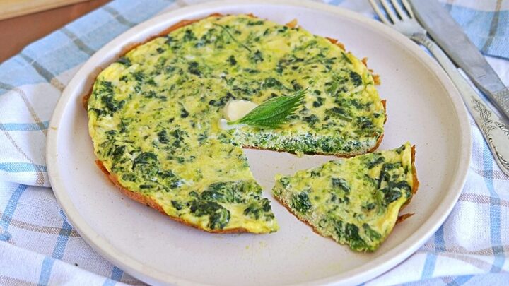 Omelete com folhas de rabanete (Imagem: Happy_food_photo | Shutterstock)