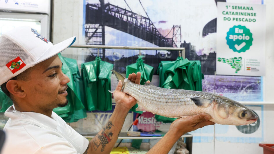 Primeira Semana do Pescado quer valorizar peixes e frutos do mar produzidos em SC