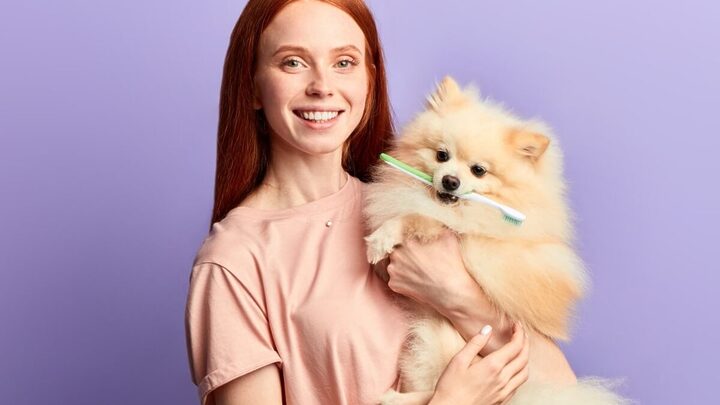 Manter a saúde bucal dos pets em dia previne doenças e até infecções (Imagem: UfaBizPhoto | Shutterstock)
