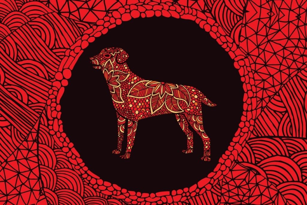 Os nativos do signo de Cão precisam melhorar o lado pessimista (Imagem: zelena | Shutterstock)