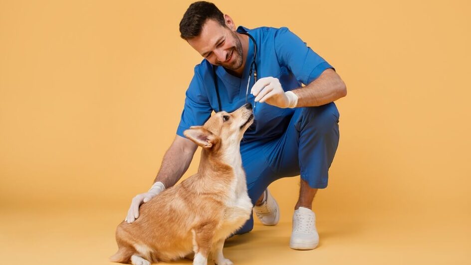 Profissões ligadas à natureza e ao mundo animal estão cada vez mais em alta (Imagem: fast-stock | Shutterstock)