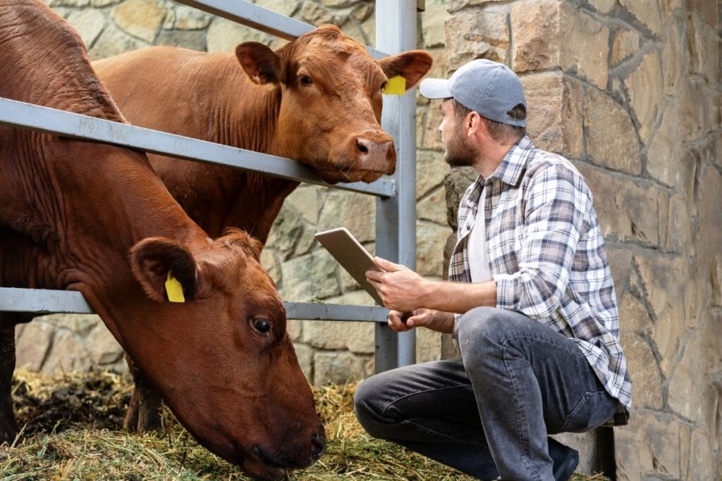 Zootecnistas desenvolvem técnicas para alimentação, reprodução e bem-estar animal (Imagem: Barillo_Picture | Shutterstock)