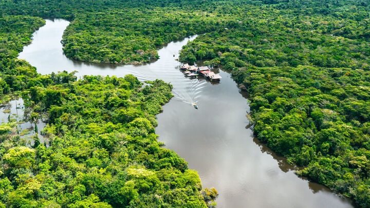 O dia da Amazônia chama a atenção para o cuidado com o meio ambiente (Imagem: Curioso.Photography | Shutterstock)