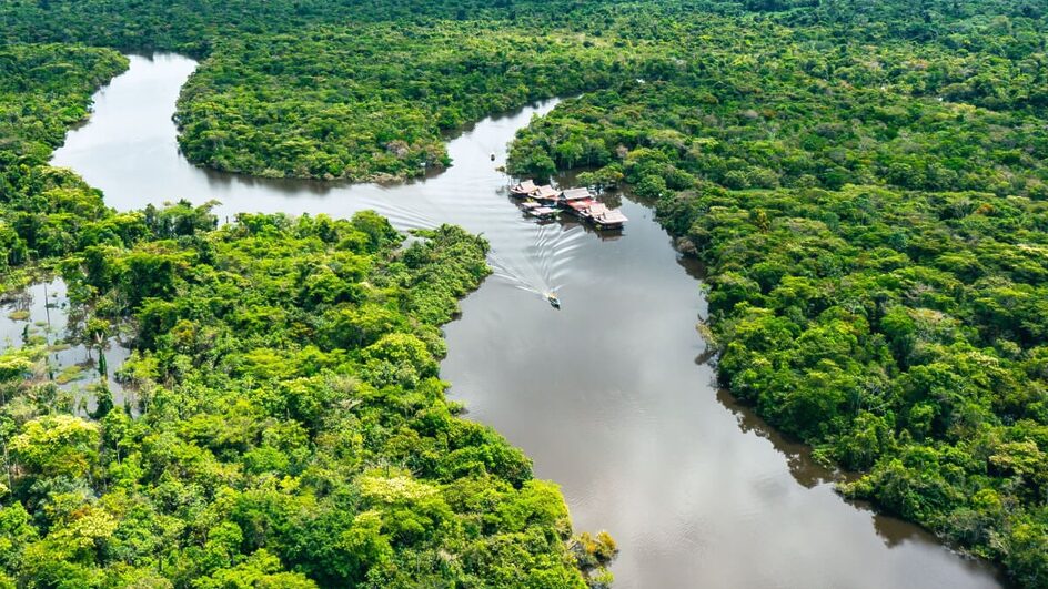 O dia da Amazônia chama a atenção para o cuidado com o meio ambiente (Imagem: Curioso.Photography | Shutterstock)