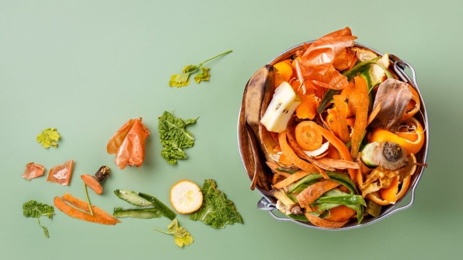 O aproveitamento integral dos alimentos, incluindo as cascas, é uma prática sustentável e benéfica para a saúde (Imagem: JasminkaM | Shutterstock)