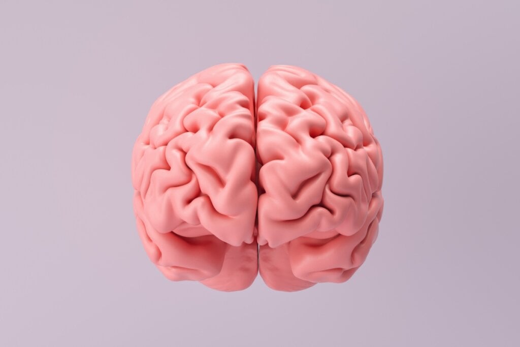 A couve-flor é uma excelente fonte de colina e vitamina B6, essenciais para a saúde do cérebro (Imagem: r.classen | Shutterstock)