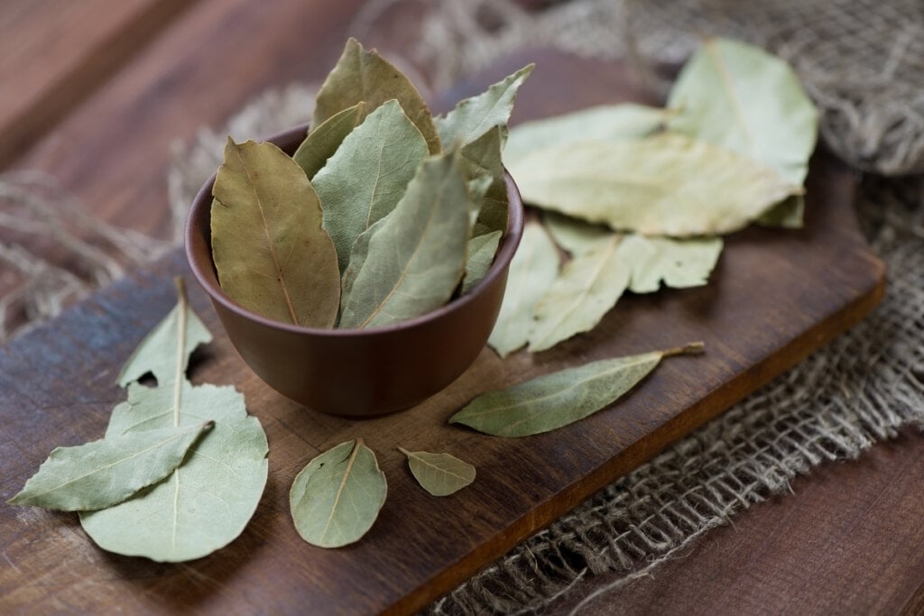 O efeito expectorante do chá de louro ajuda a aliviar a congestão nasal (Imagem: Nickola_Che | Shutterstock)
