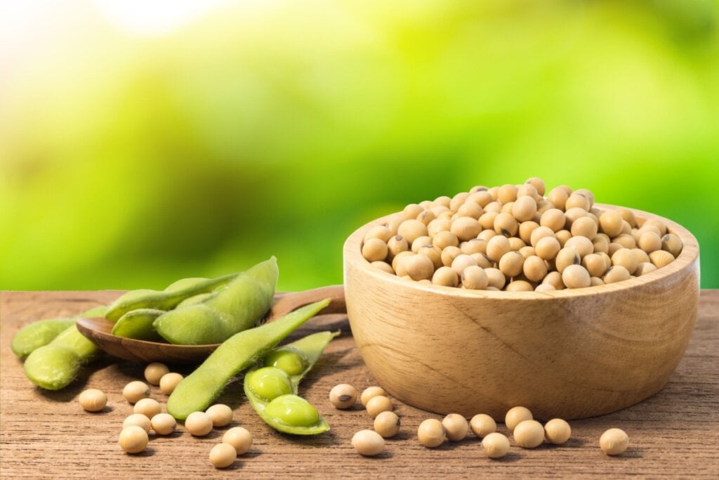 A soja pode ajudar a reduzir os sintomas da menopausa (Imagem: 1989studio | Shutterstock)