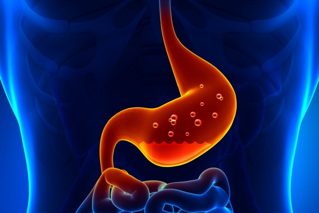 O poejo alivia problemas gastrointestinais ao relaxar a musculatura do trato digestivo e facilitar a eliminação de gases (Imagem: decade3d – anatomy online | Shutterstock)