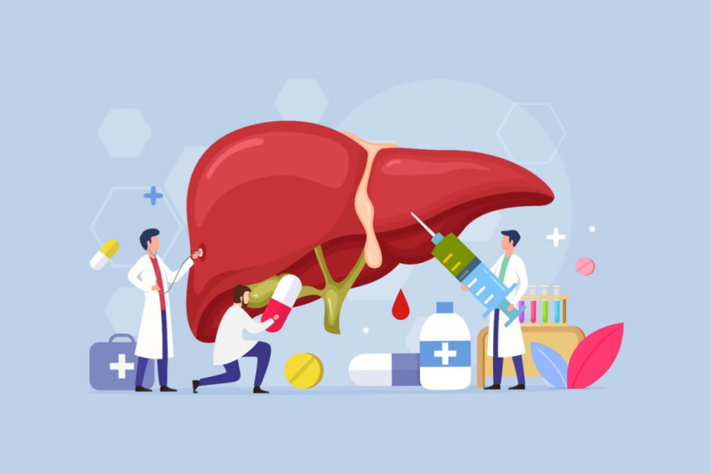 Quando a gordura no fígado ultrapassa 5% do volume, o risco de inflamação e complicações hepáticas aumenta (Imagem: freshcare | Shutterstock)