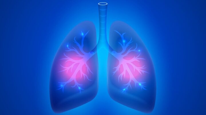 A pneumonia é uma doença causada por bactérias, fungos ou vírus que afetam o pulmão (Imagem: HobbitArt | Shutterstock)
