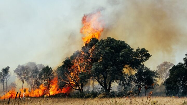 Com o aumento da temperatura aumentam as queimadas, e é necessário tomar cuidados com a saúde (Imagens: Fabrizio Maffei | Shutterstock)