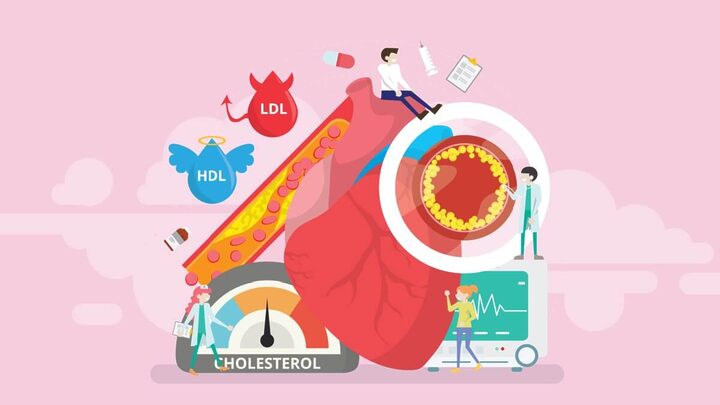 Cuidar da saúde vascular é importante para o funcionamento do organismo (Imagem: Zigzigzig | Shutterstock)