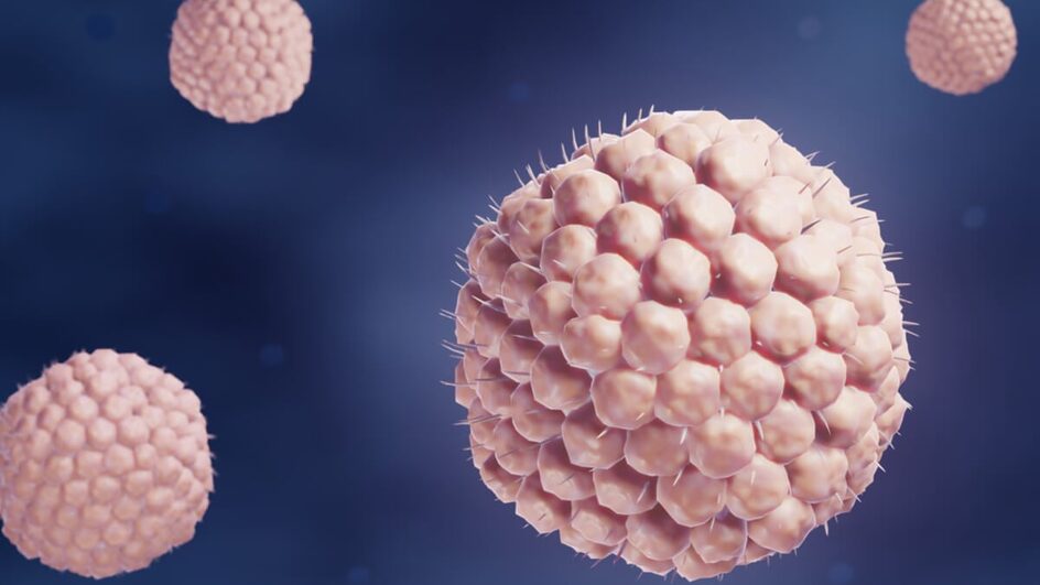 O herpes-zóster é causado pela reativação do vírus da catapora, e aumento da doença preocupa especialistas (Imagem: ART-ur | Shutterstock)