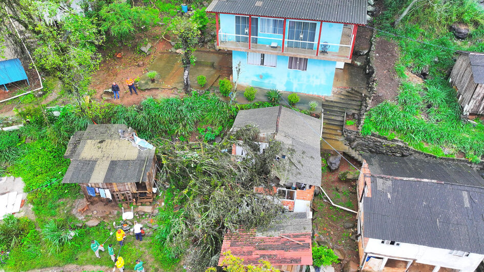 Árvore cai e destrói casas em comunidade de Florianópolis