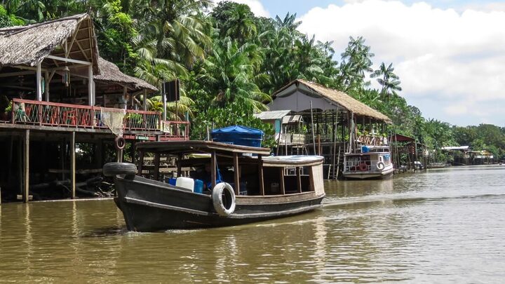 Na Ilha do Combu é possível realizar trilhas pela selva e degustar chocolates exclusivos (Imagem: Sandra Moraes | Shutterstock)