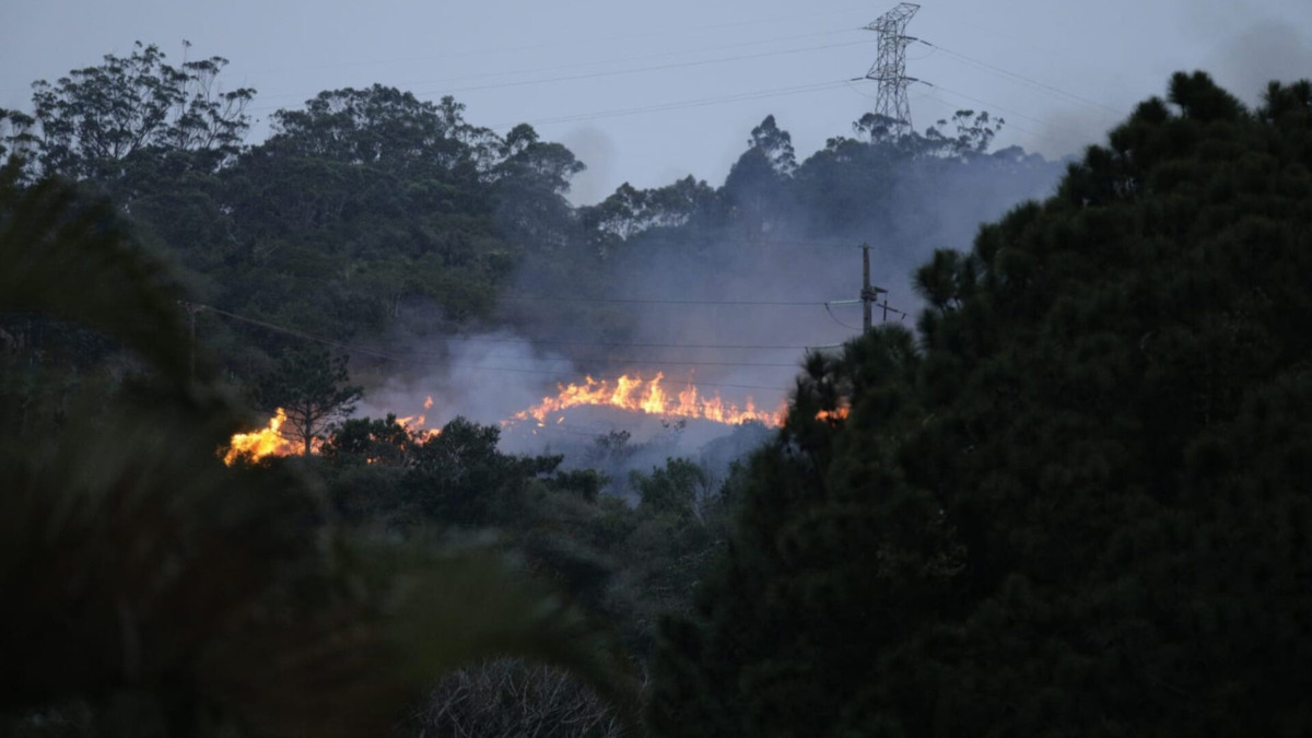 Incêndio em vegetação de Florianópolis foi causado por agricultor que tentava plantar tubérculos
