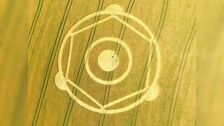 Agroglifo em Ipuaçu foi descoberto há uma semana.