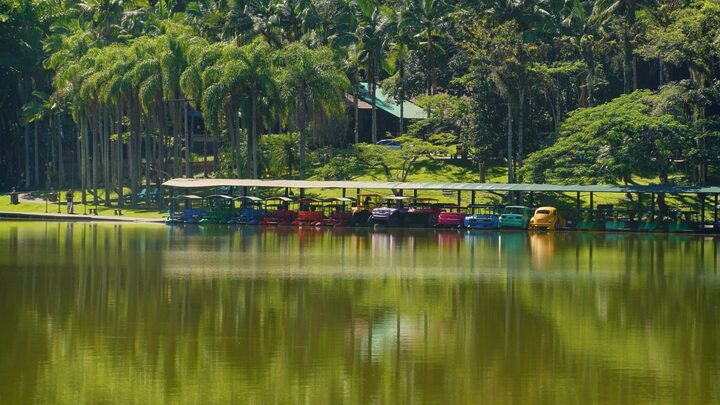 Dia das Crianças terá programação em parque de SC.