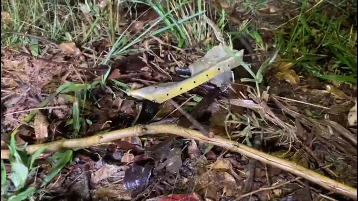 Quem são as vítimas do avião que saiu de Florianópolis e caiu no interior de São Paulo