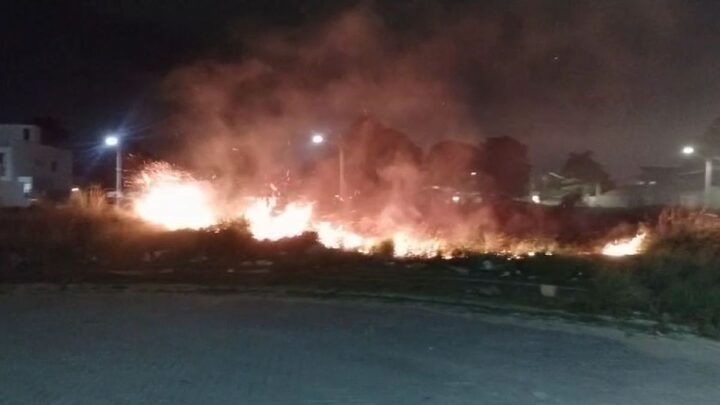 Vegetação pega fogo em SC.
