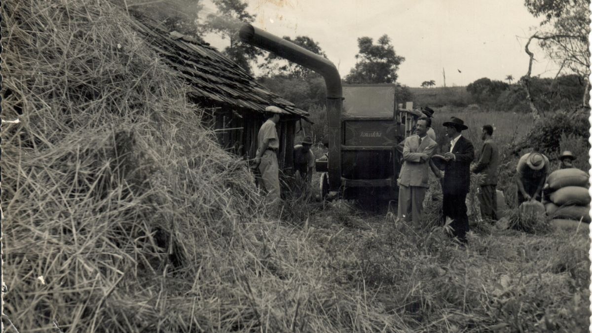 Acervo Fotográfico de Chapecó.