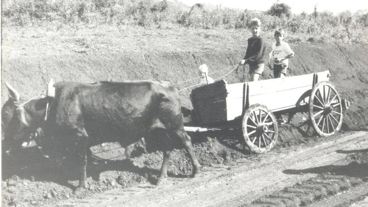 Acervo Fotográfico de Chapecó.