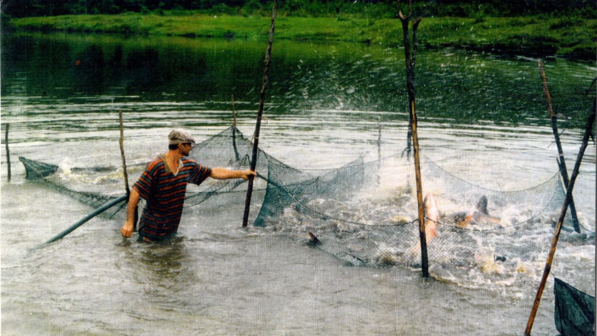 Acervo Fotográfico de Chapecó.