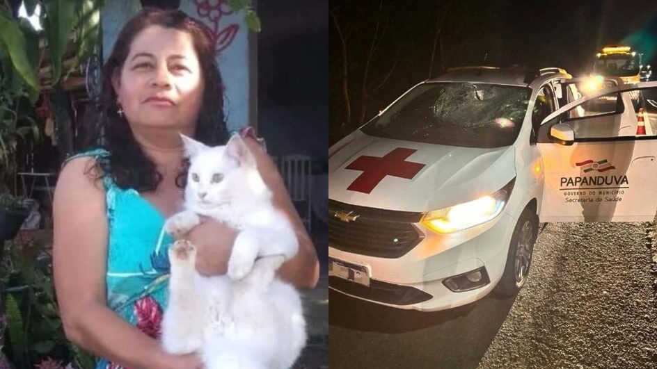 Vítima estava no carro da Secretaria de Saúde de Papanduva (Foto: Reprodução, redes sociais)