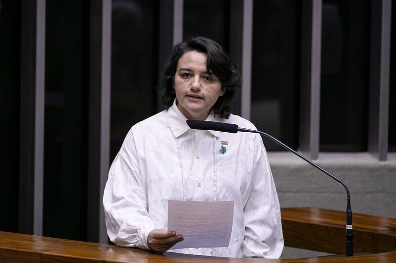 Projeto é da deputada Carla Ayres
