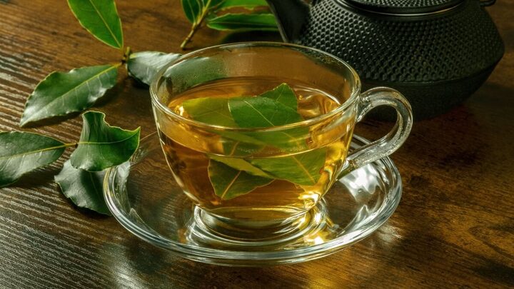 Chá de louro para melhorar a digestão (Imagem: Plateresca | Shutterstock)