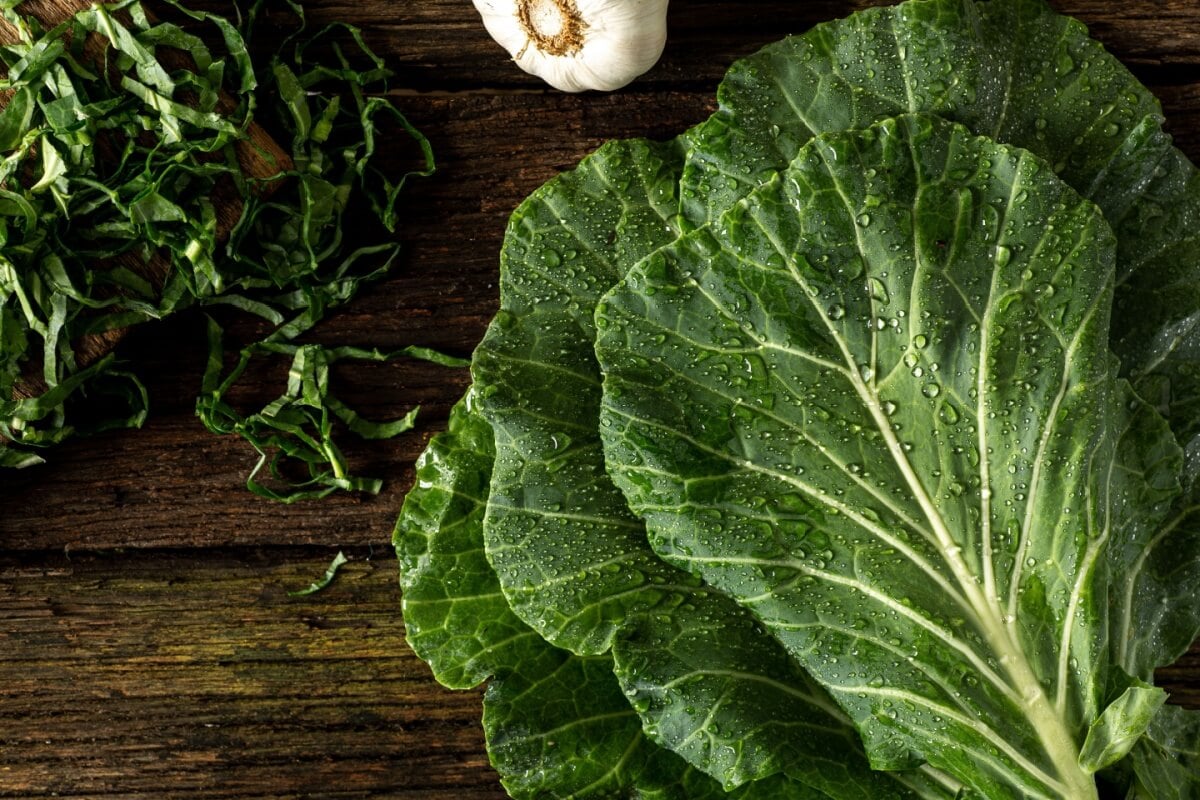 A couve é uma hortaliça rica em nutrientes importantes para a saúde (Imagem: Estudio Originar | Shutterstock)